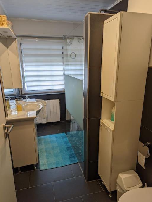 Ferienwohnung Philippi - Moselblick Mit Grosser Dachterrasse, 75 Qm, Hunde Willkommen Mehring  Εξωτερικό φωτογραφία